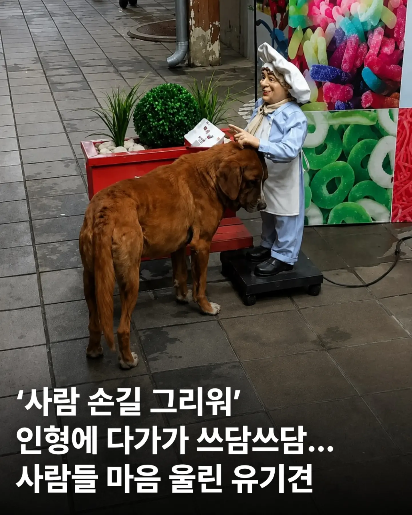 부디 아껴주세요.. 2