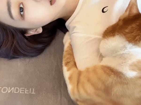 카리나 고화질