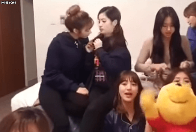 사나: 만져봐도 돼? 2
