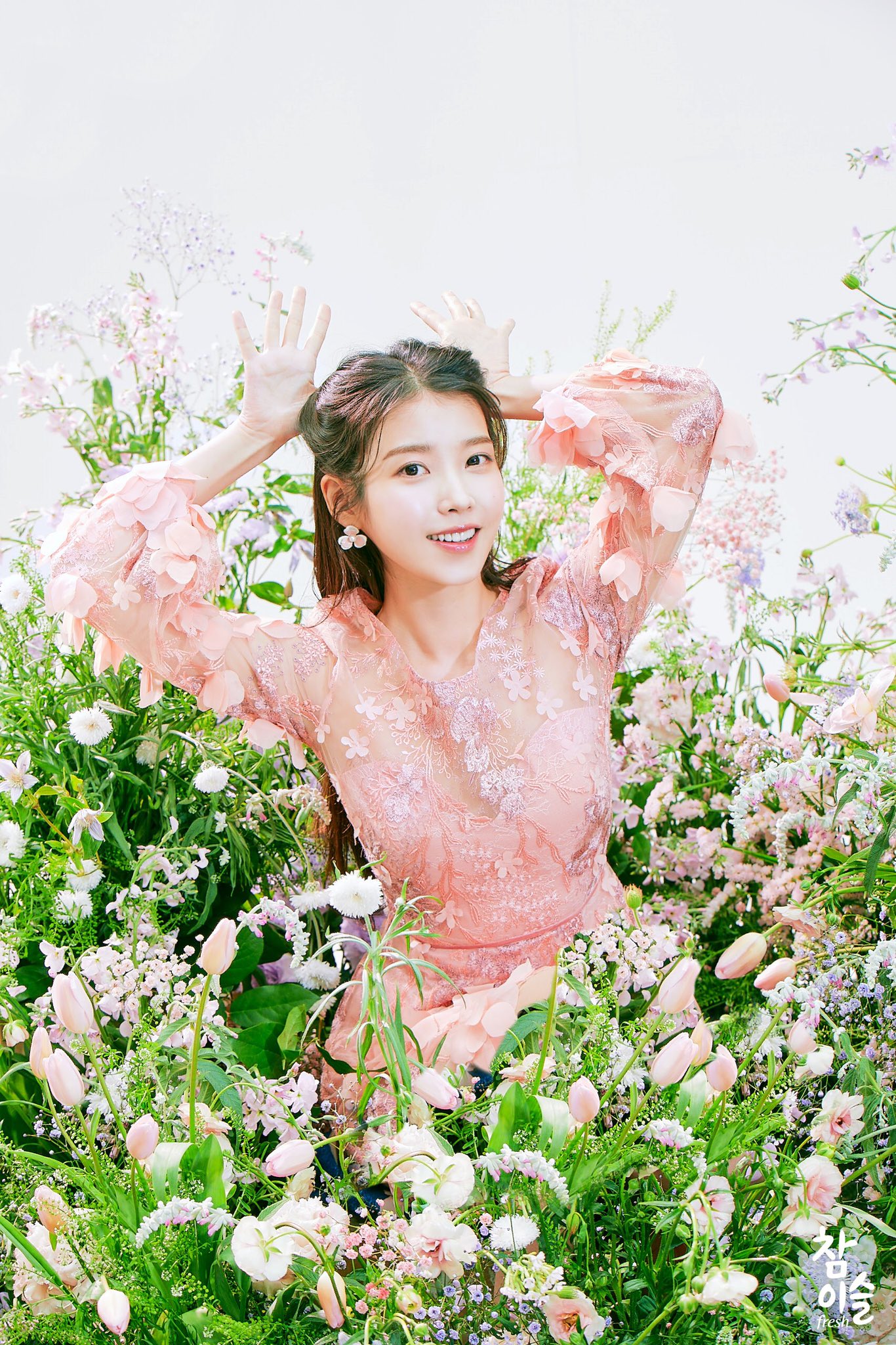 참이슬인스타 아이유 생일 축하사진 6
