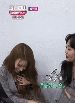 위에서 본 러블리즈 미주 3