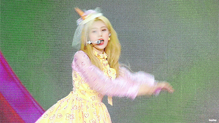 광탈레나 6