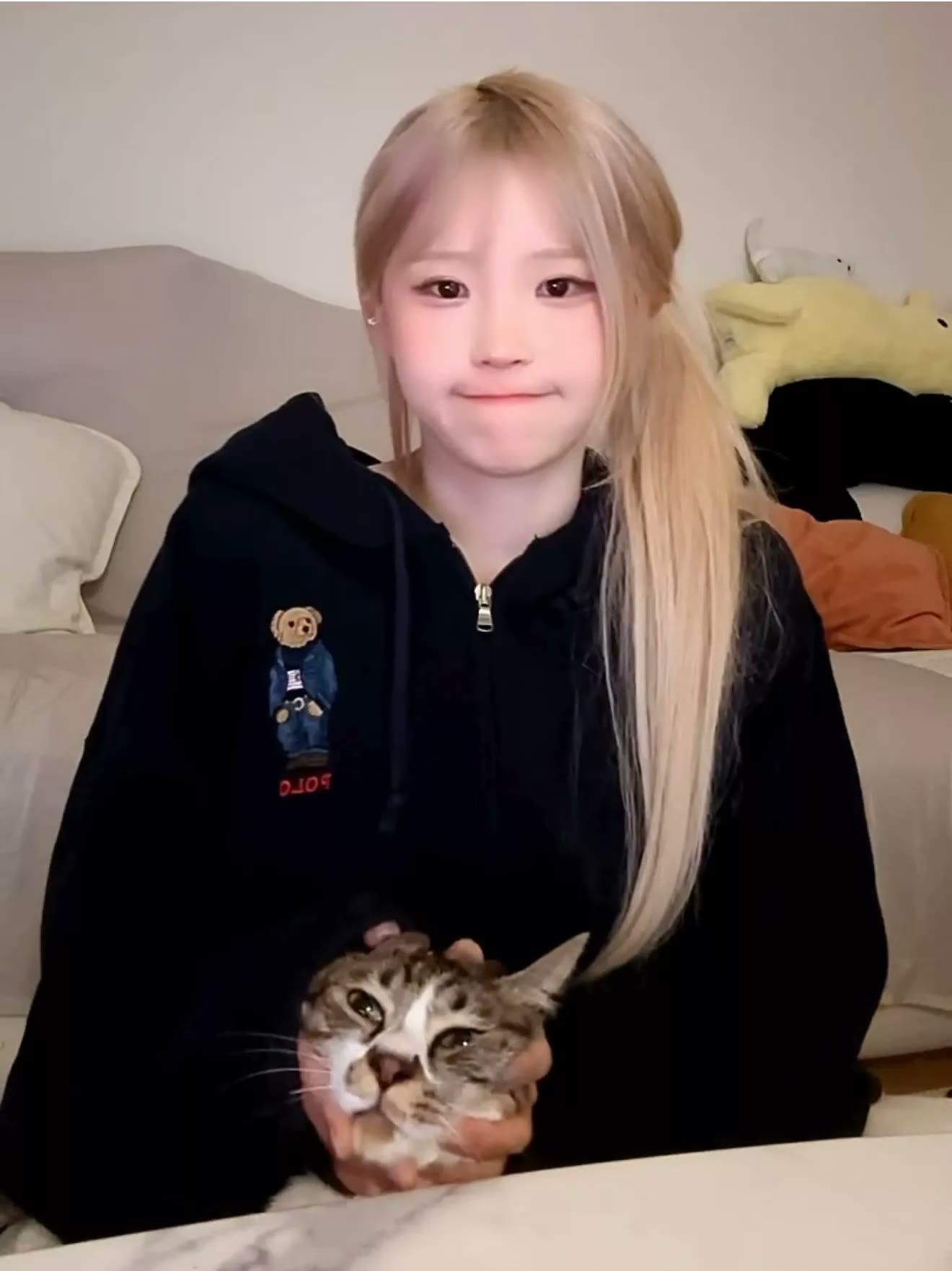 송하영 고양이 극락 보내는 손놀림