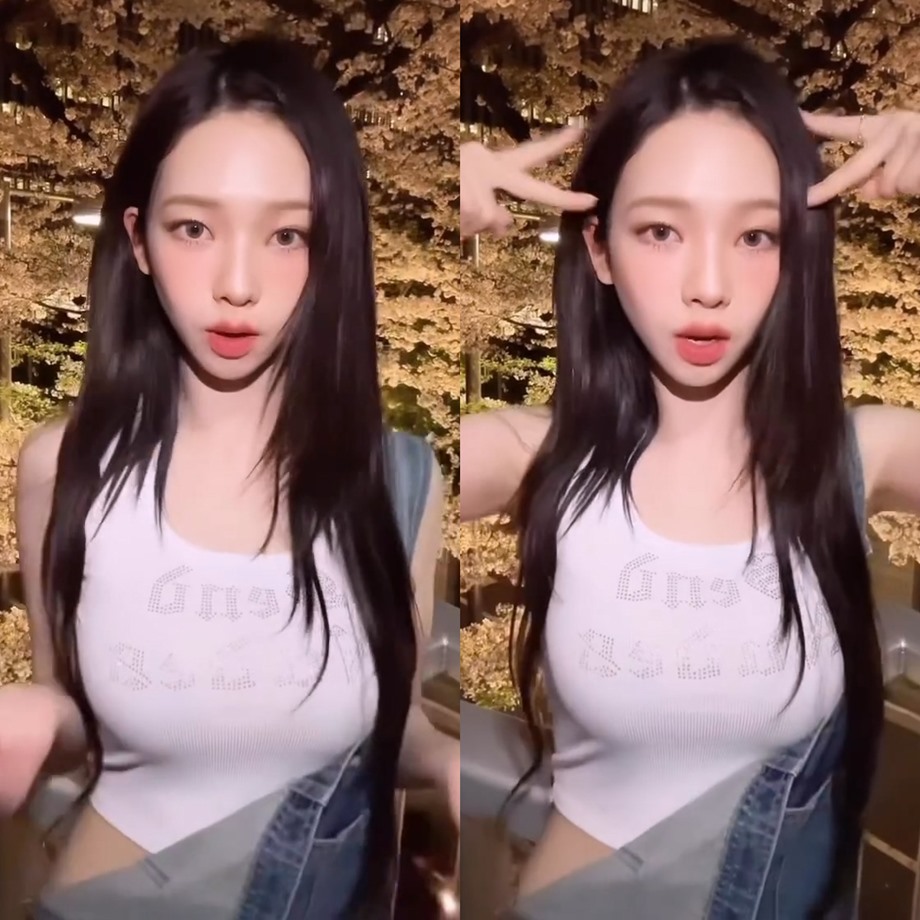 에스파 카리나 한강 고양이 챌린지 3
