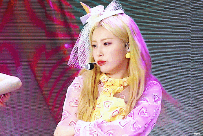광탈레나 4