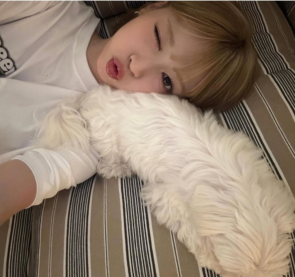 어제자 리센느 메이 핫클립 2
